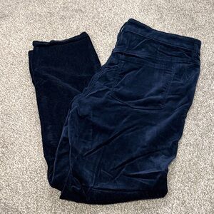 Dark Blue Velvet Pants